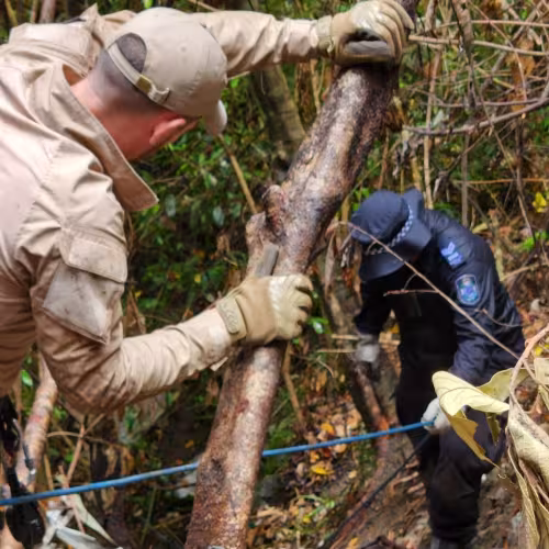 QRAT member assists QPS with rope access system