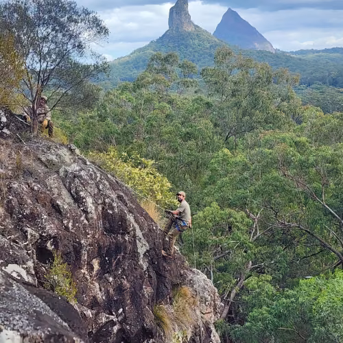 QRAT SEQ member rapels down glasshouse mountains