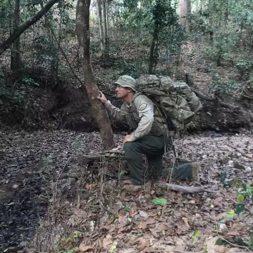 Tracking in Queensland bushland
