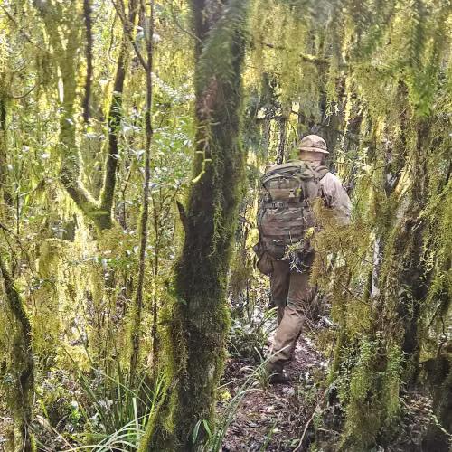 Tracking through hinterland