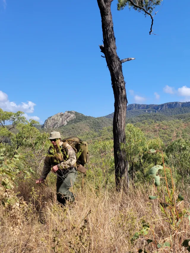 Queensland Remote Area Tracking team searching bushland